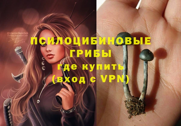 стафф Абинск
